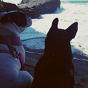 Meet your Posher, Robyn